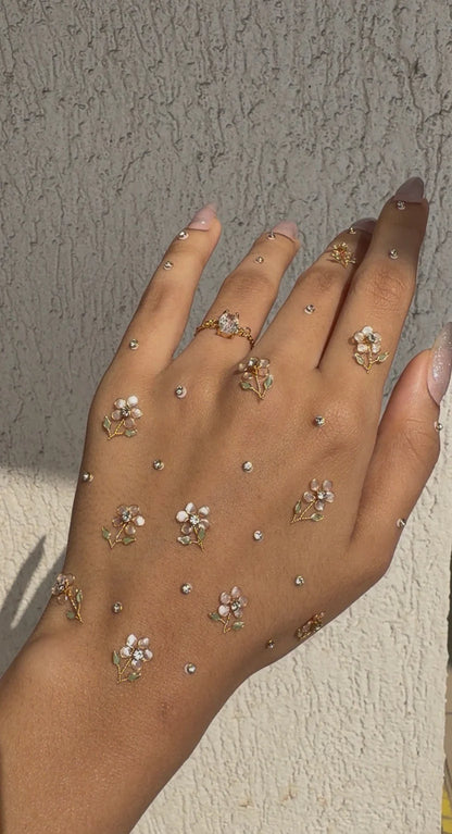 Reusable Glam Mehndi Set